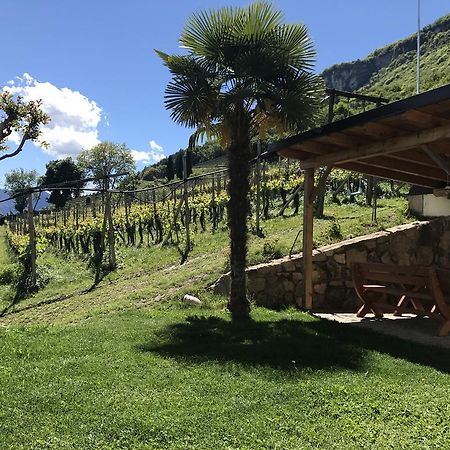 Weifnerhof Villa Termeno Eksteriør bilde